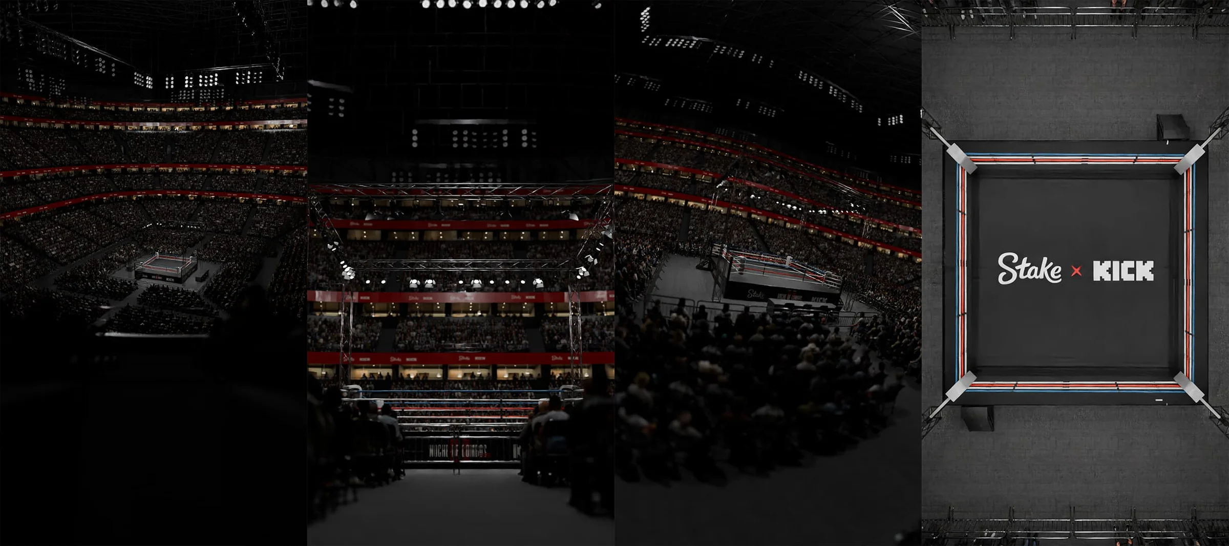 Dark arena visualization with a boxing ring at its center
